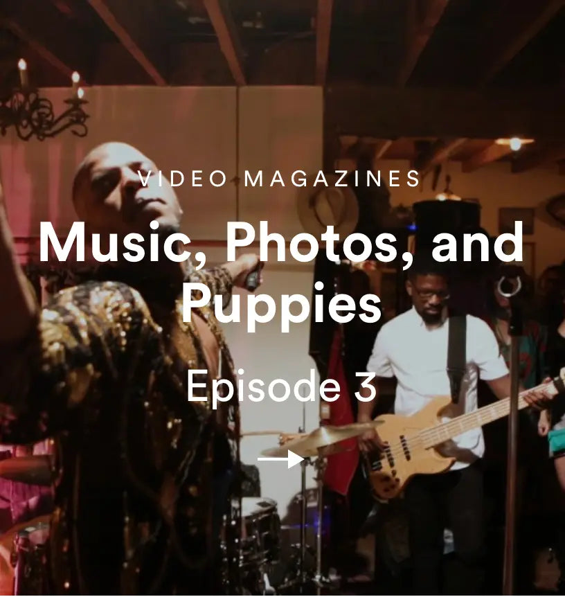 Music-Photos-and-Puppies Late Sunday Afternoon